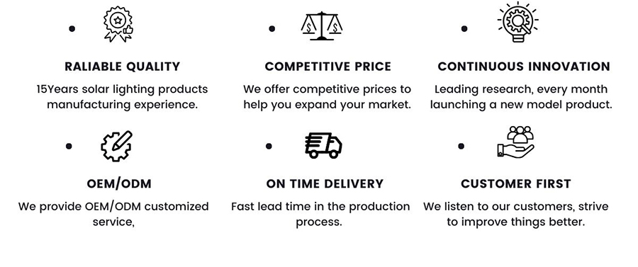 Shenzhen 领锐 Optoelectronic Co., Ltd.