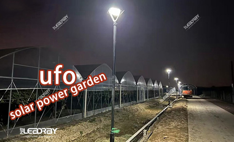 加纳客户水果植物户外花园庭院灯道路安装太阳能路灯
