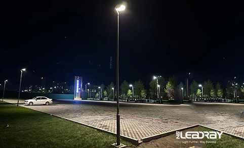 领锐 的 38w LED 太阳能花园灯在庭院安装后获得客户的高度评价