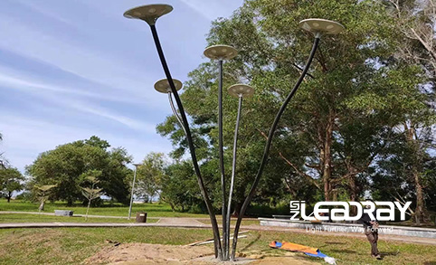 领锐 30w Led 太阳能庭院灯在公园安装后受到客户的高度评价