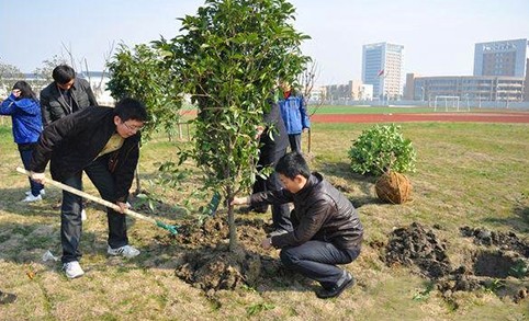 植树节快乐