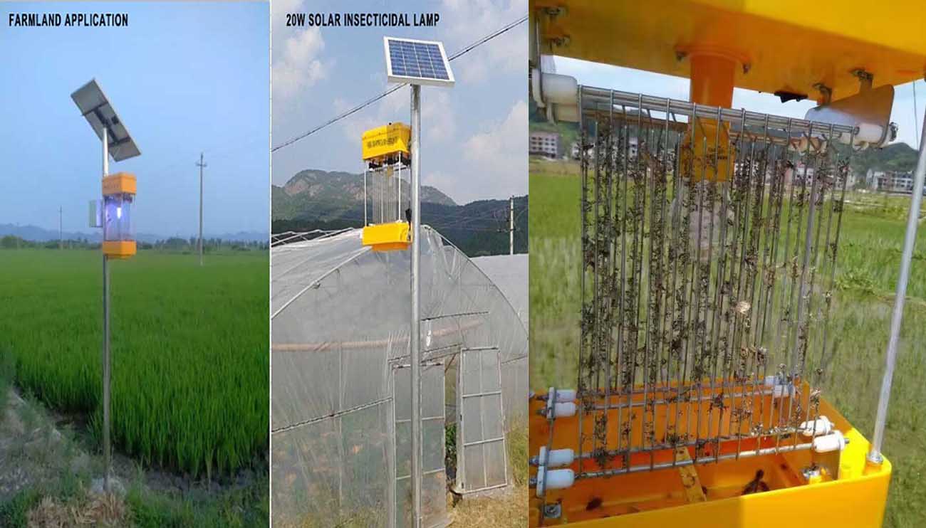 Solar insecticidal lamp