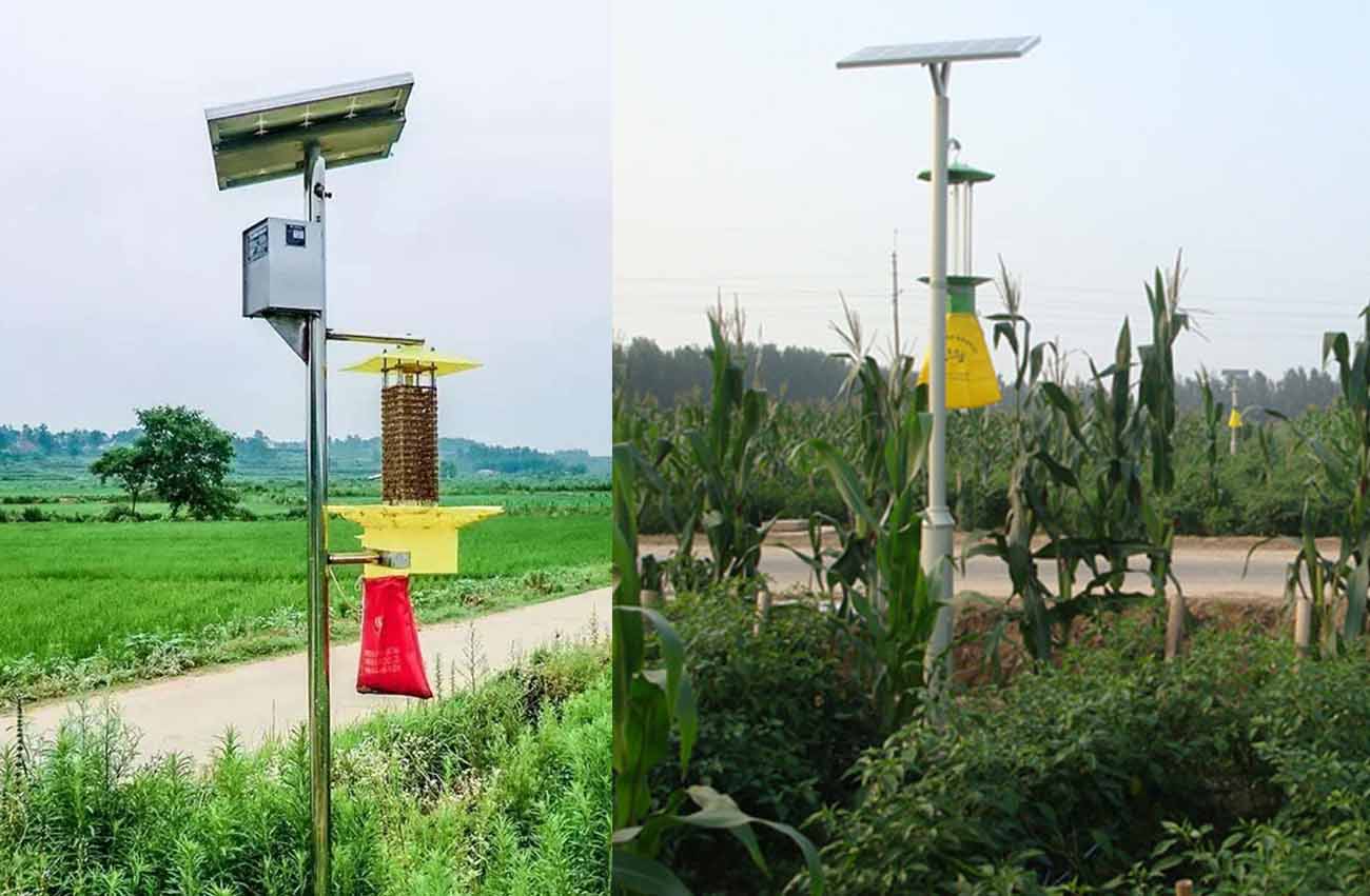 Solar Insecticidal Lamp Solar Insecticidal Lamp