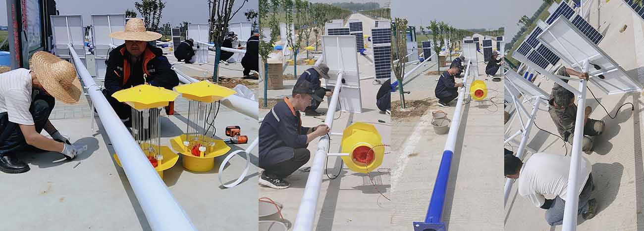 Insecticidal Lamp Insecticidal Lamp